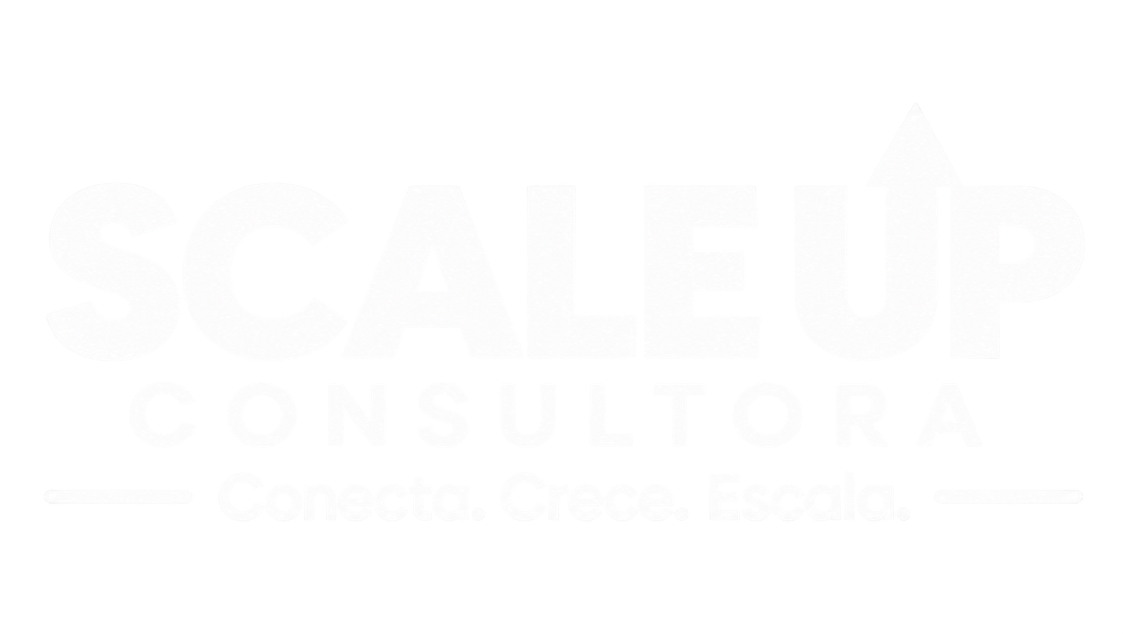 Scale Up Consultora